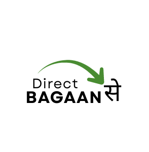 Direct Bagaan Se