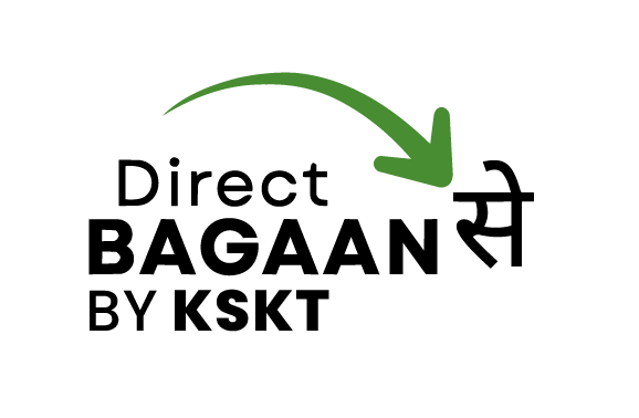 Direct Bagaan Se